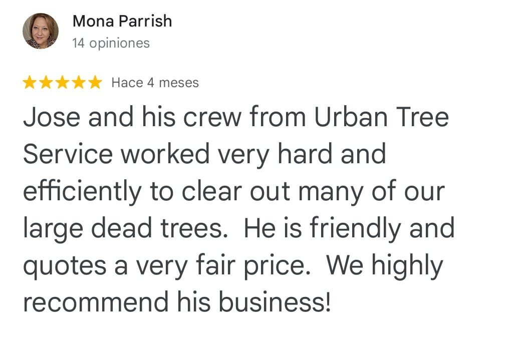 0db0c808-0ab3-4e95-a810-177e28b69d5a