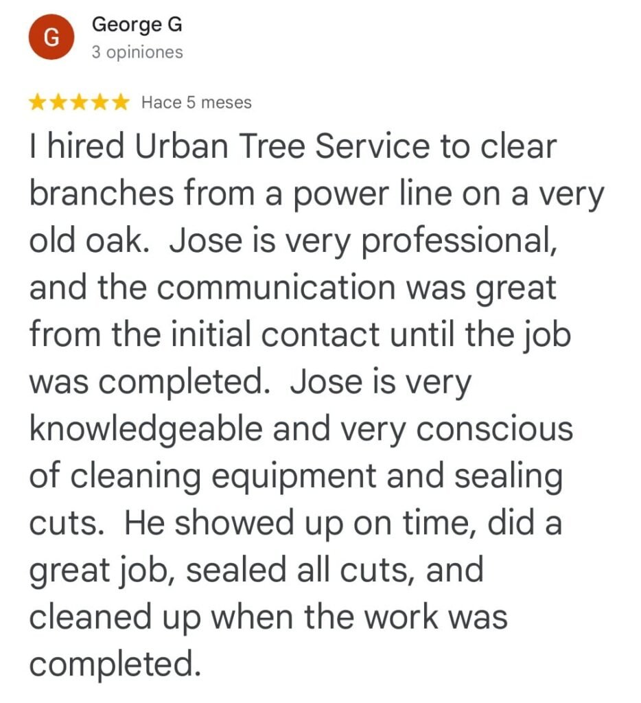 0e205a1d-b2a1-4b49-86d4-64d05fc27c0a