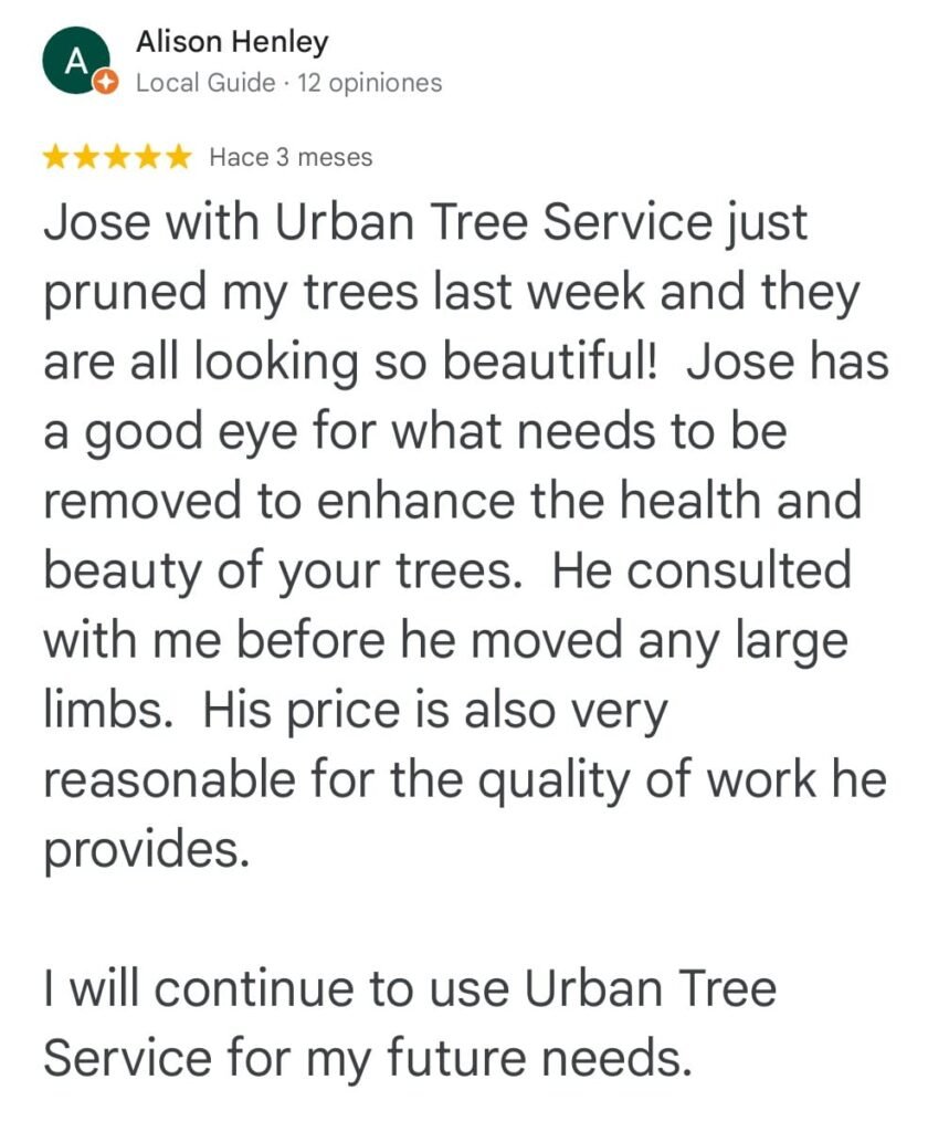 945b6c15-5b78-484a-8280-6837314e77ec