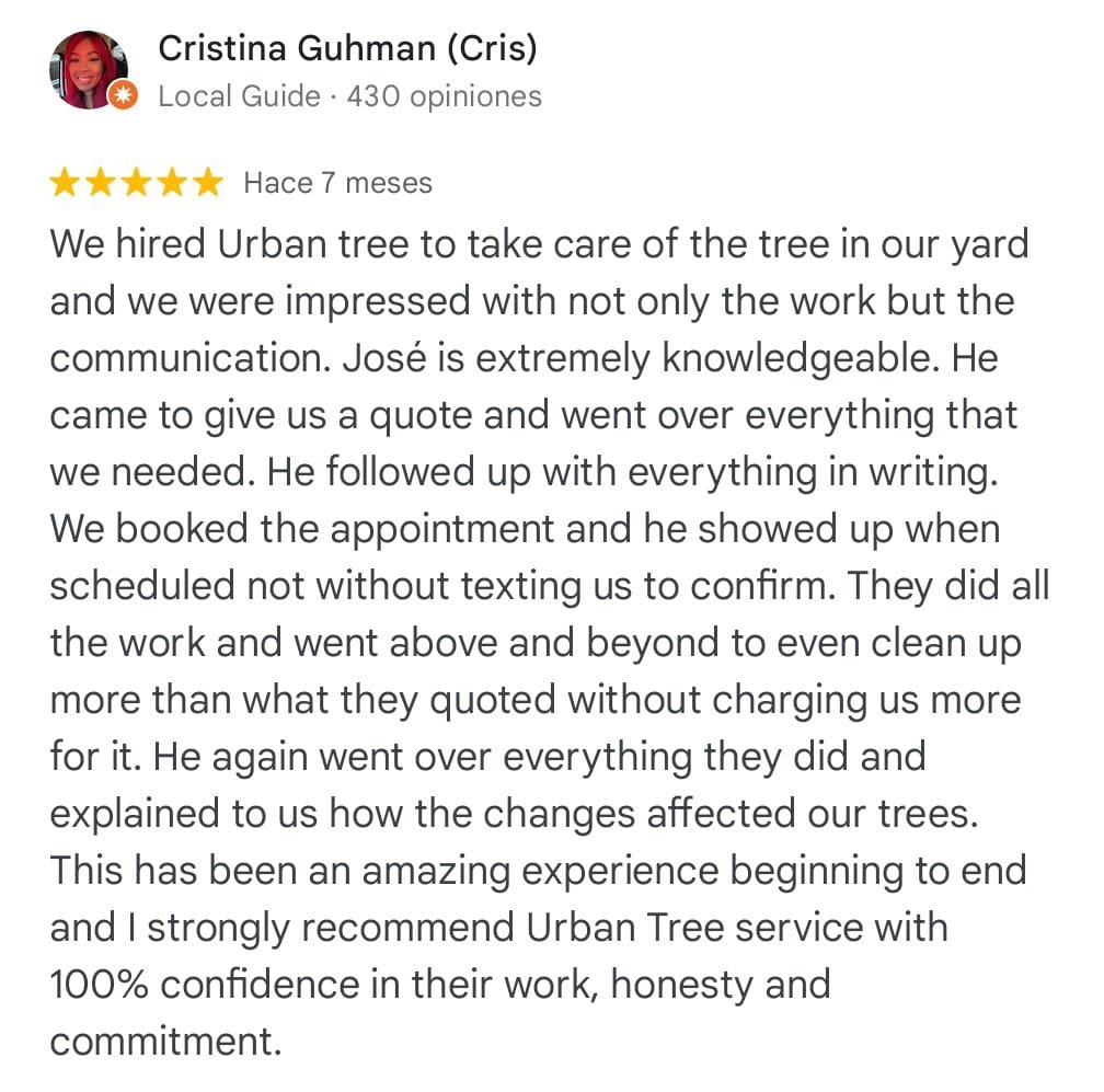 f8c32ab7-d9b8-4d60-aff5-eae25f759e08